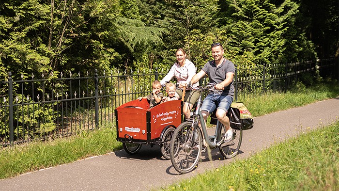 Bakfiets (Dutch cargo bike) electricBakfiets (Dutch cargo bike)  including admission to Park Hoge Veluwe in the Veluwe region 
