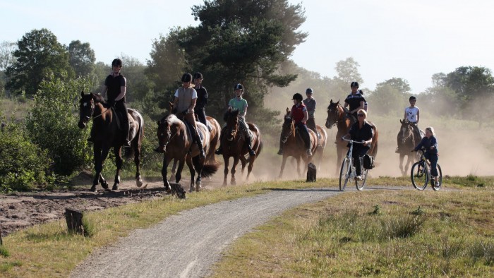 Outdoor horseback ride on the Veluwe in 