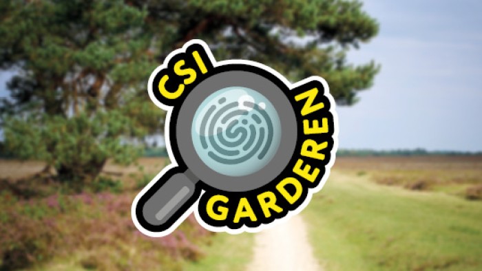 CSI Garderen on the Veluwe in 