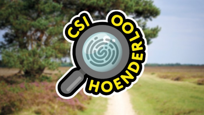 CSI Hoenderloo on the Veluwe in 