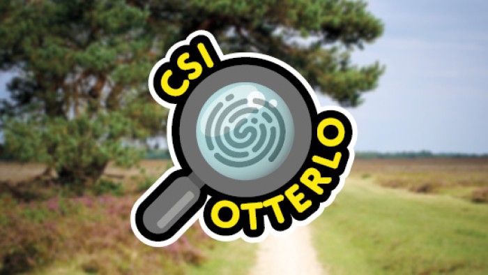 CSI Otterlo on the Veluwe in 