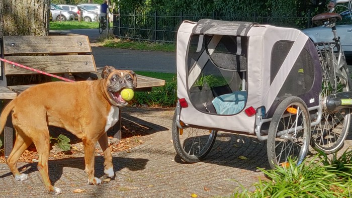 7-speed unisex bike on the Veluwe in 