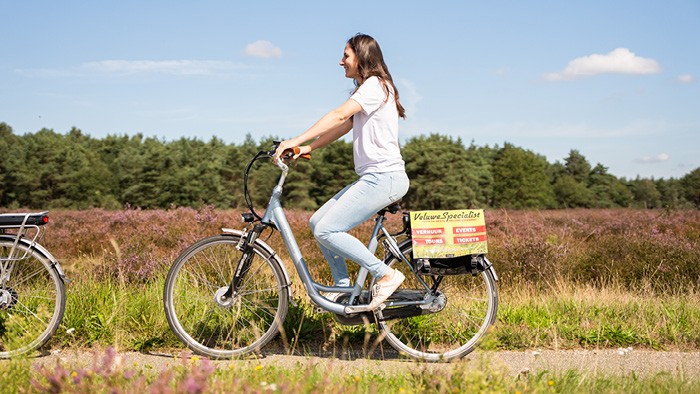 7-speed unisex bike incl. entrance Park Hoge Veluwe on the Veluwe in 