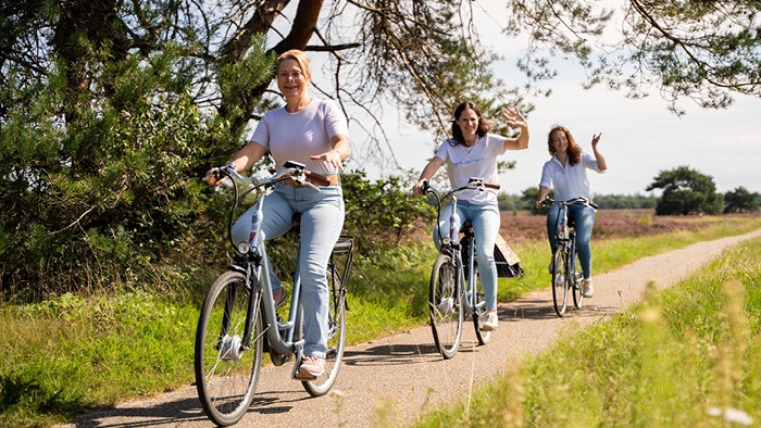 Electric bike rental incl. entrance Park Hoge Veluwe in 