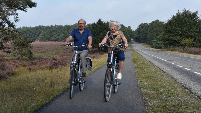 Electric bicycle on the Veluwe in 