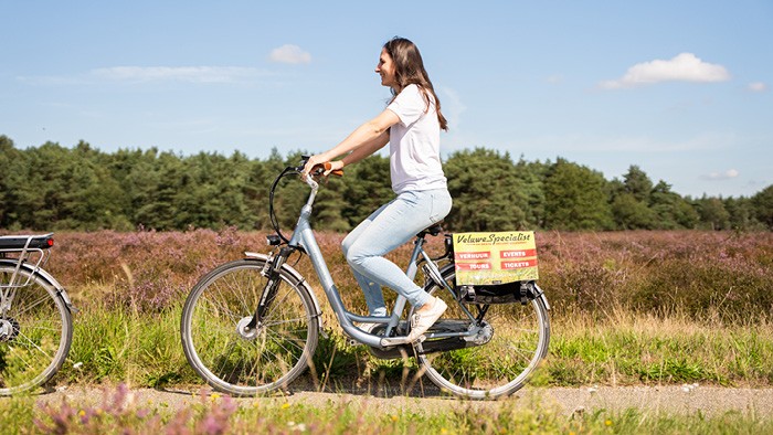 Electric bicycle on the Veluwe in 