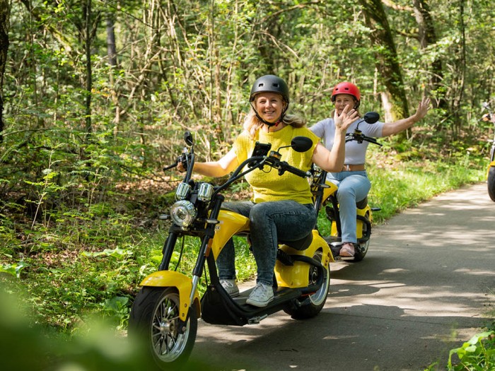 Climbing in the Veluwe in 
