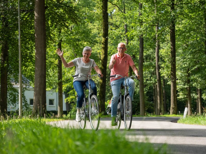 Climbing in the Veluwe in 