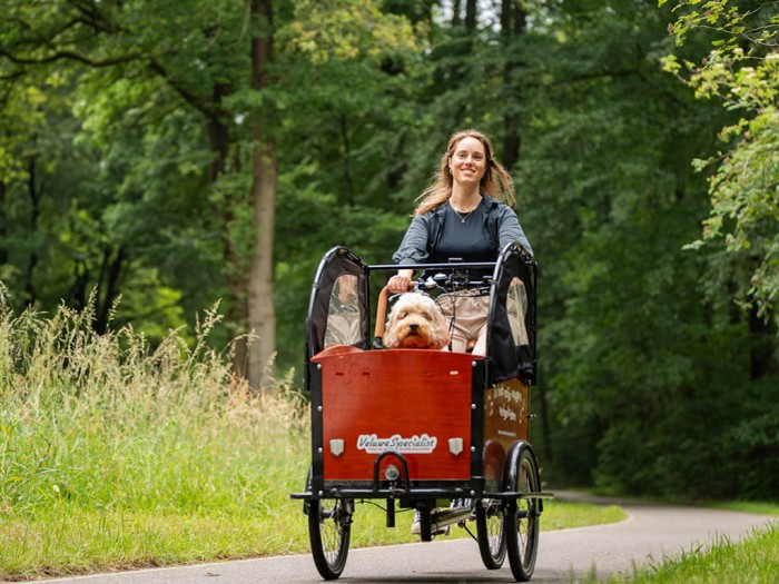 Climbing in the Veluwe in 
