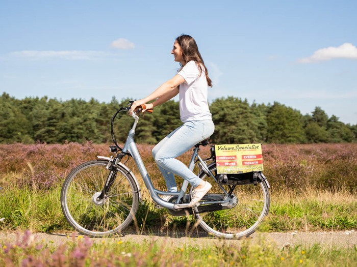 Climbing in the Veluwe in 