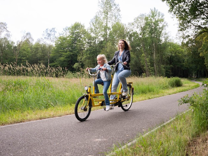 Climbing in the Veluwe in 