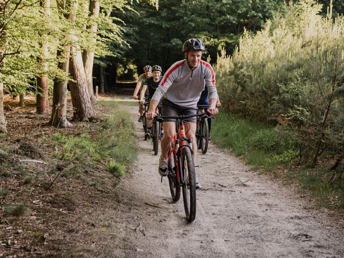 Climbing in the Veluwe in 
