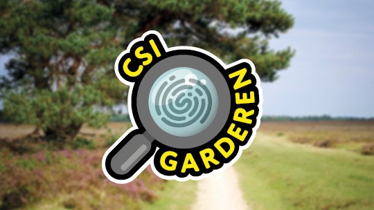 Activity / Day out CSI Garderen on the Veluwe