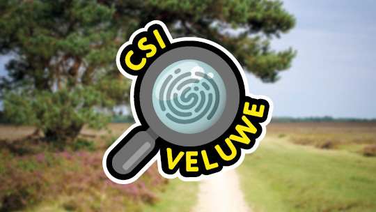 Activity / Day out CSI Staverden on the Veluwe