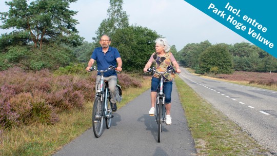 Activity / Day trip 7-speed unisex bike incl. entrance Park Hoge Veluwe on the Veluwe