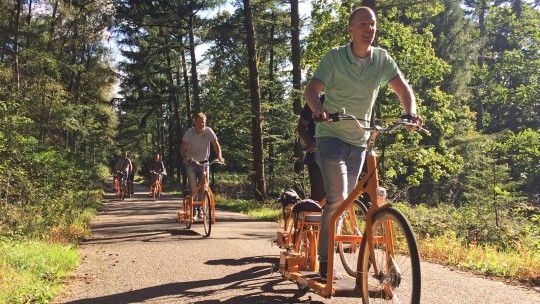 Activity / Day out E-cycling on the Veluwe