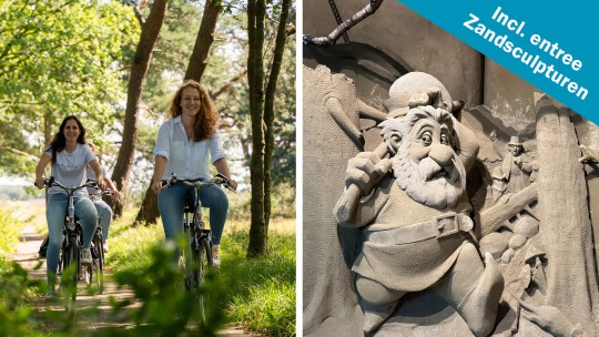 Activity / Day out Bicycle incl. Sand sculptures on the Veluwe