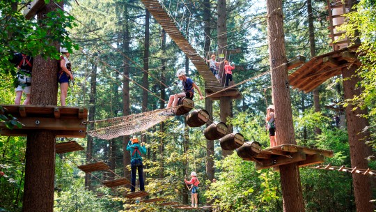 Activity / Day out Climbing in the Veluwe