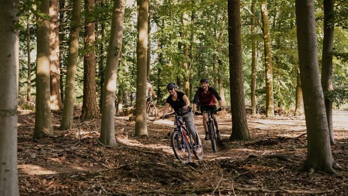  on the Veluwe in 