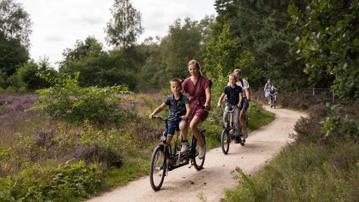  on the Veluwe in 