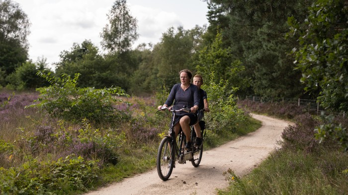  on the Veluwe in 