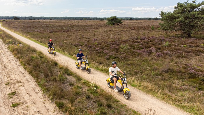  on the Veluwe in 