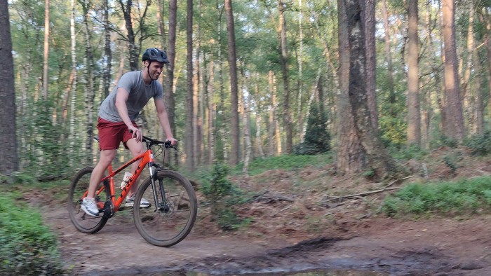  on the Veluwe in 