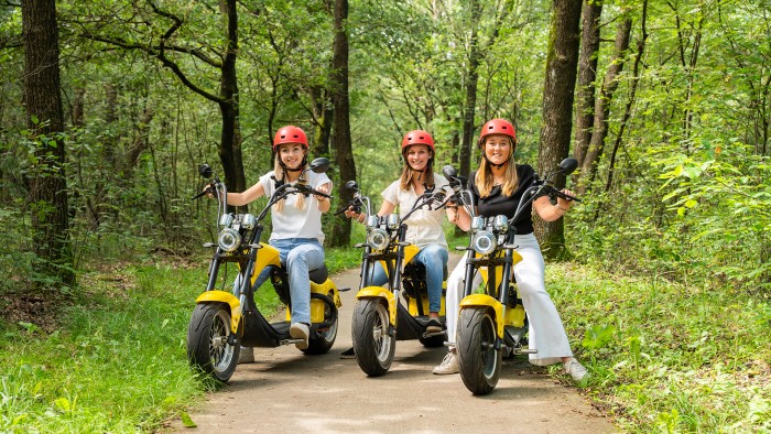  on the Veluwe in 