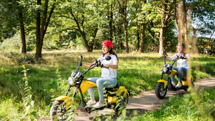  on the Veluwe in 