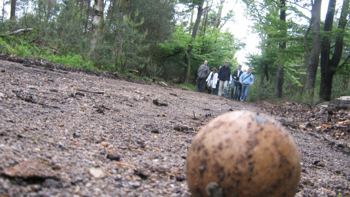  on the Veluwe in 