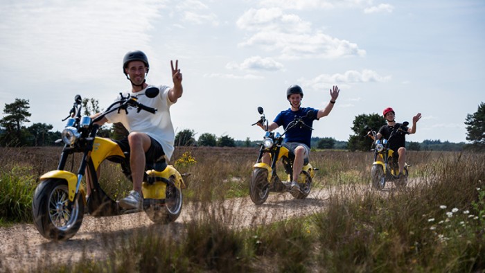  on the Veluwe in 