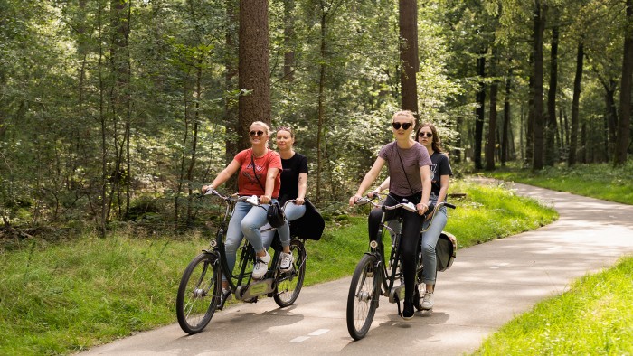  on the Veluwe in 