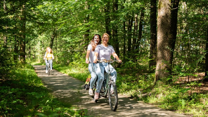  on the Veluwe in 