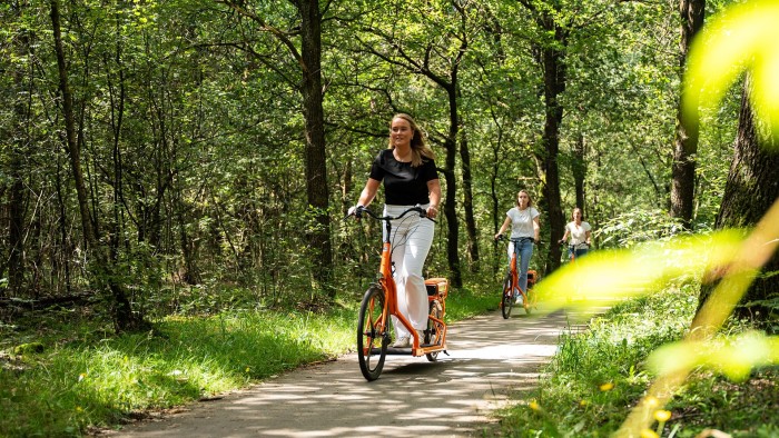  on the Veluwe in 