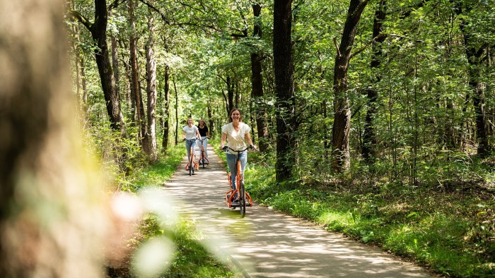  on the Veluwe in 