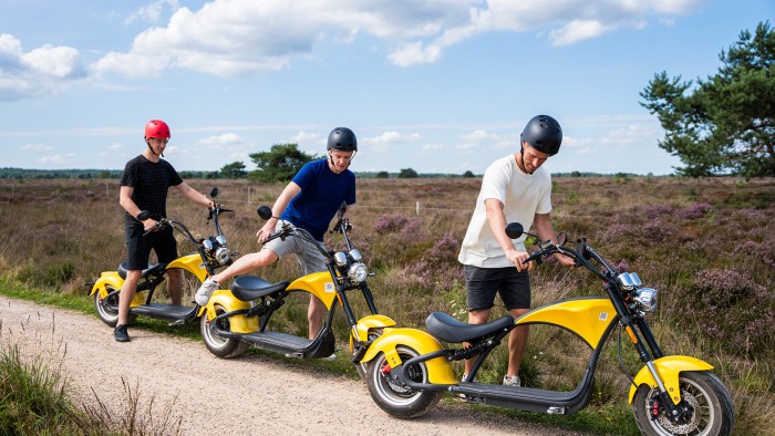  on the Veluwe in 