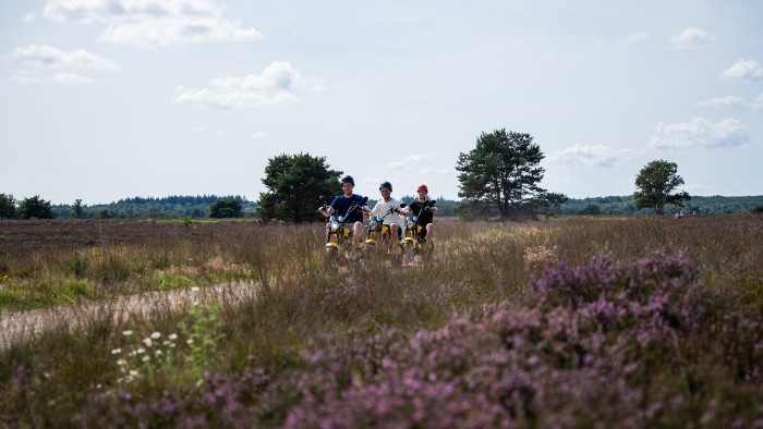  on the Veluwe in 