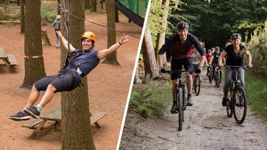 Activity / Day out on the Veluwe