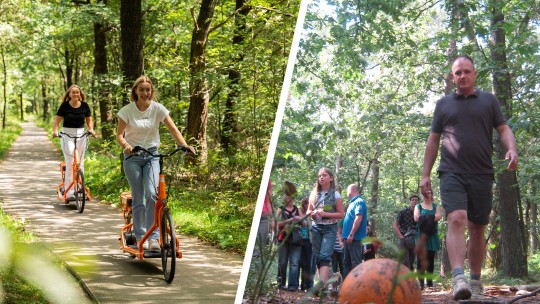 B'all about fun! | Veluwe Specialist