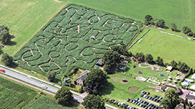 Corn Maze