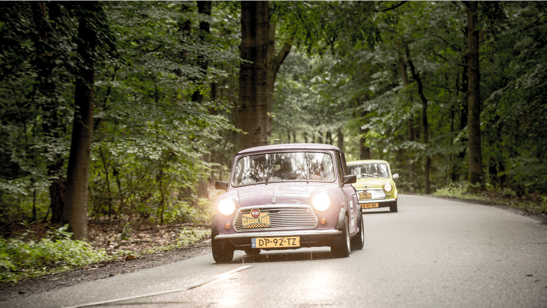  on the Veluwe in 