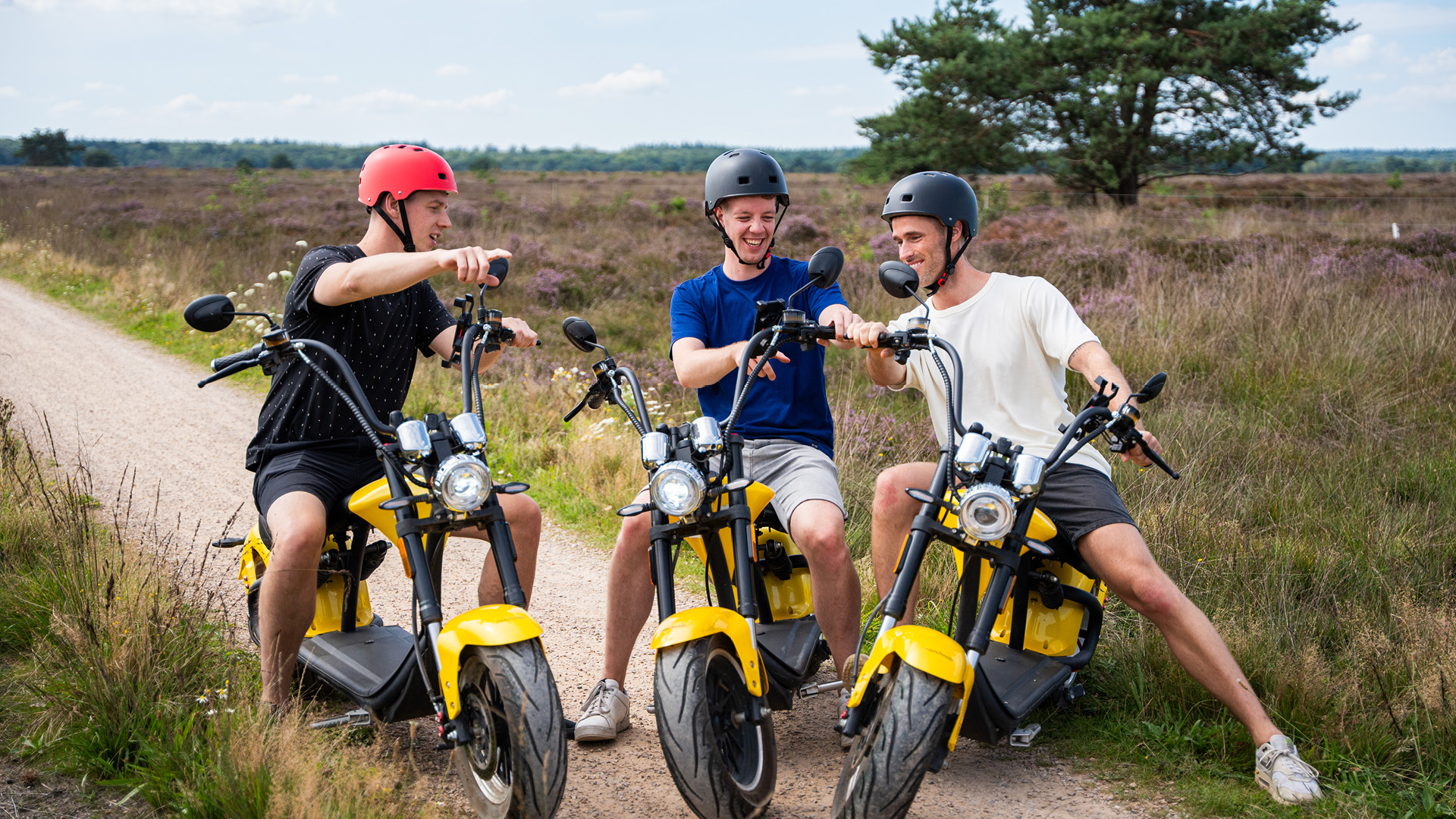  on the Veluwe in 