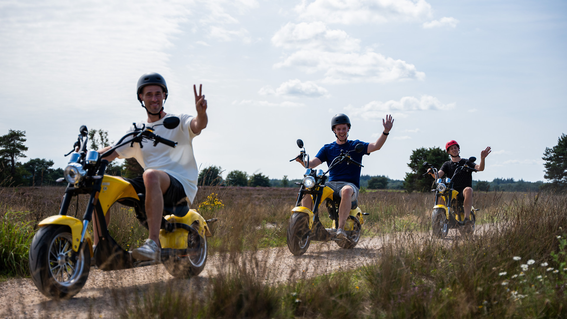  on the Veluwe in 