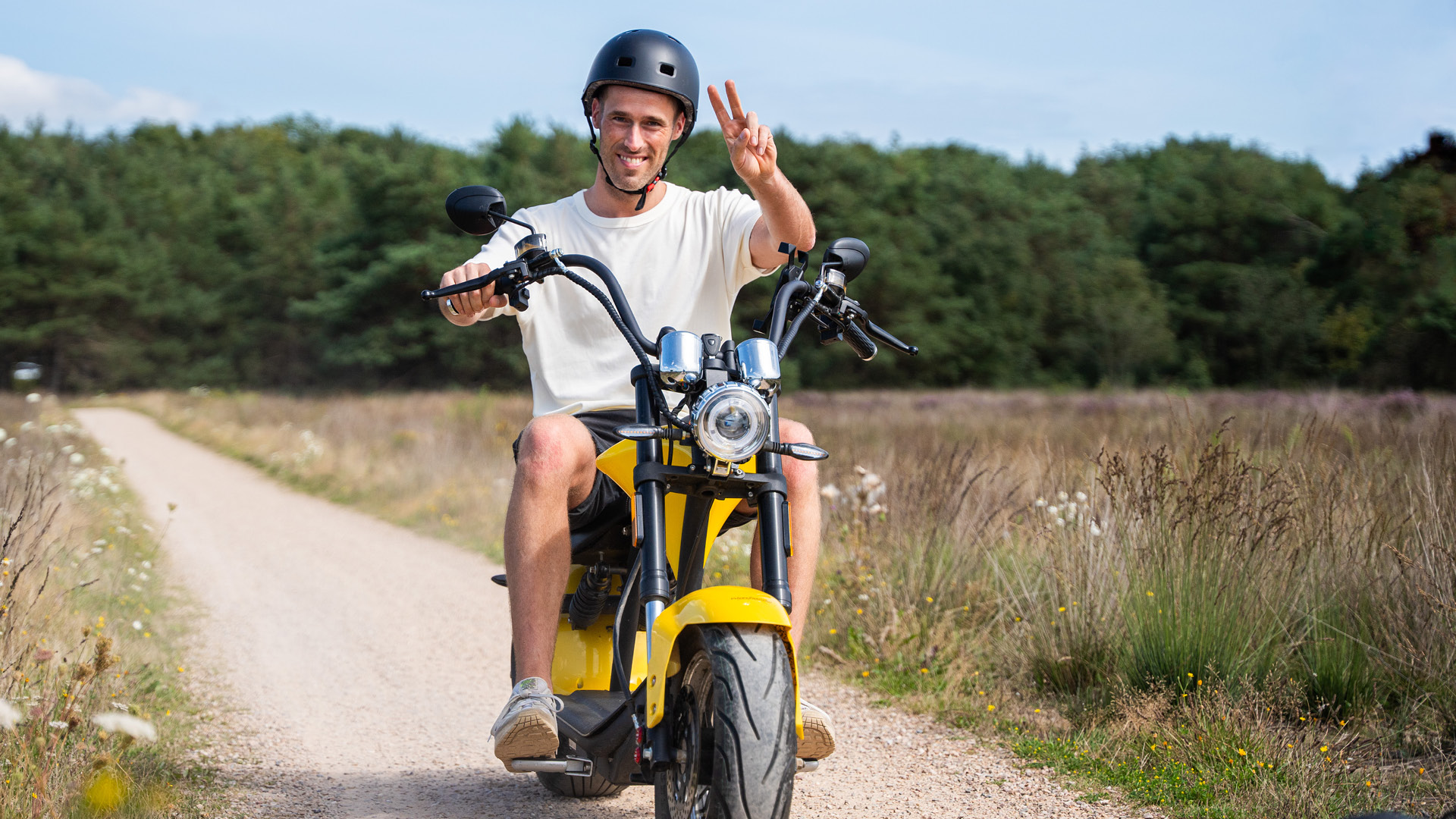  on the Veluwe in 