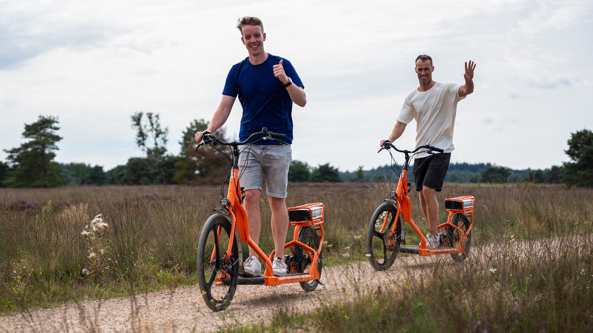  on the Veluwe in 