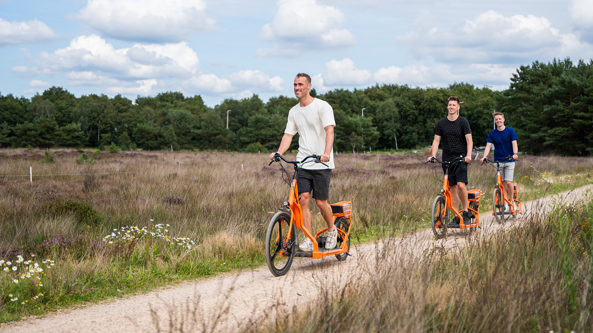  on the Veluwe in 