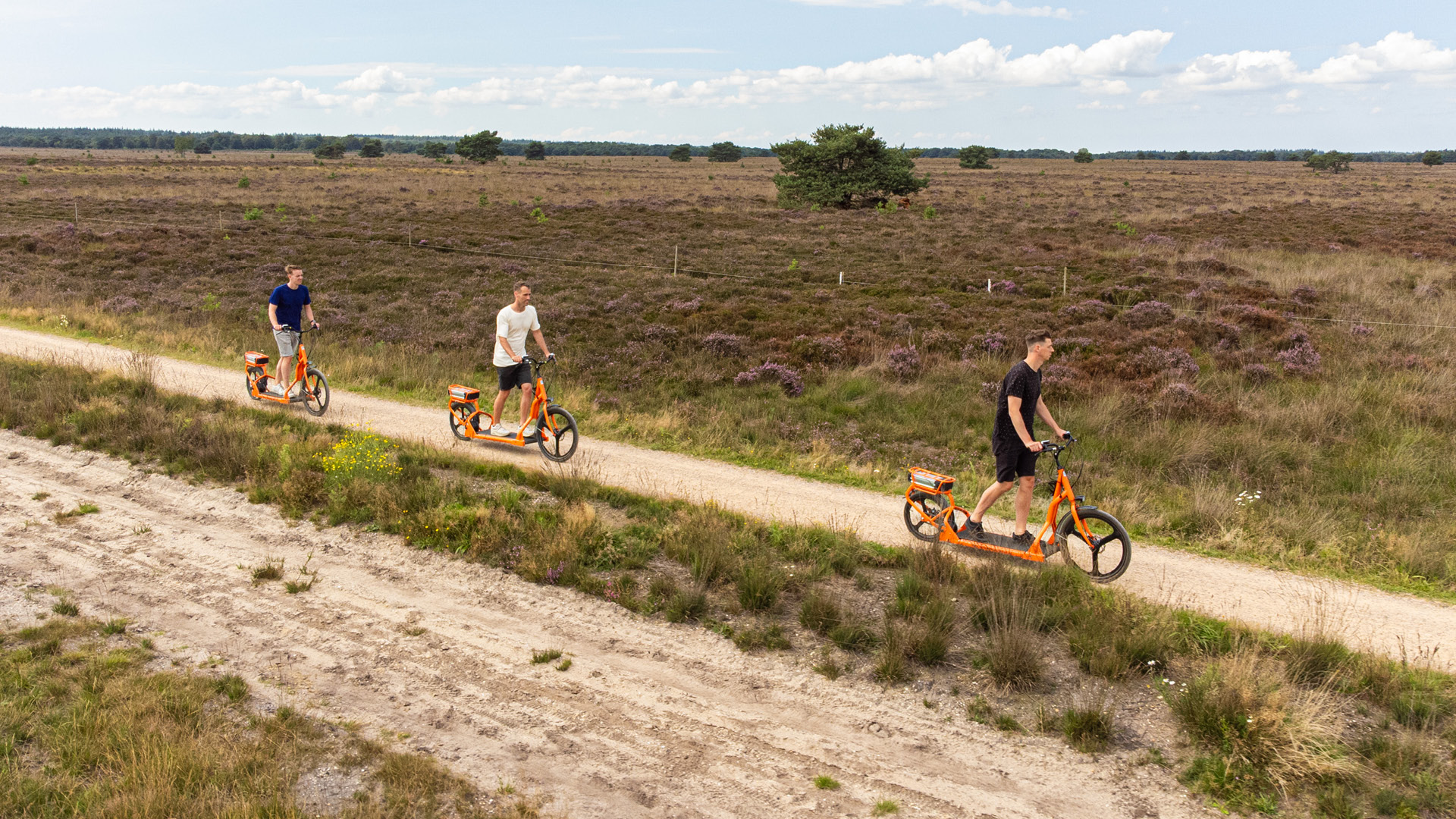  on the Veluwe in 