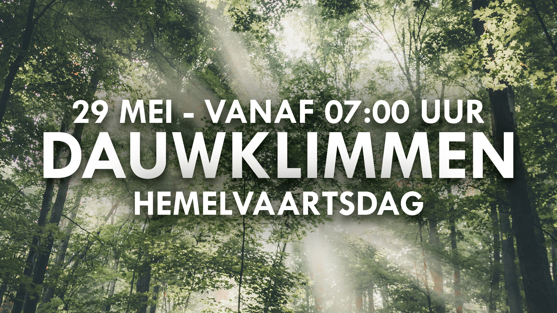 Dew climbing - Klimbos Harderwijk