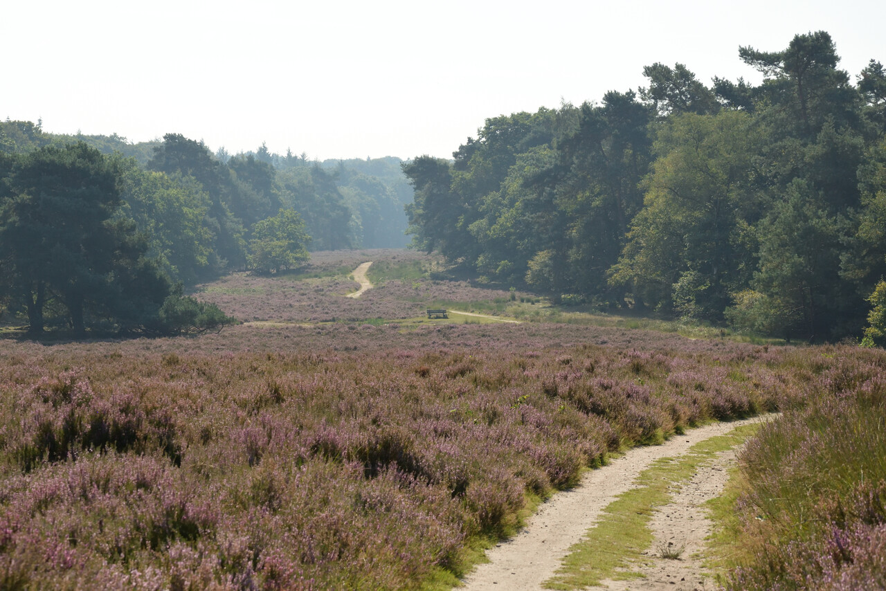 Estate walk, Warnsborn estate