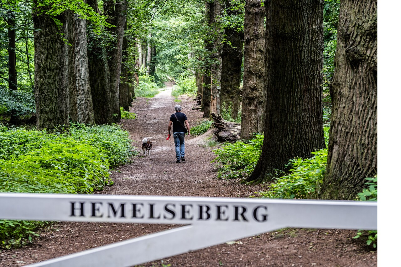 Estate walk, Heavenly Mountain, Pietersberg and Low Origin